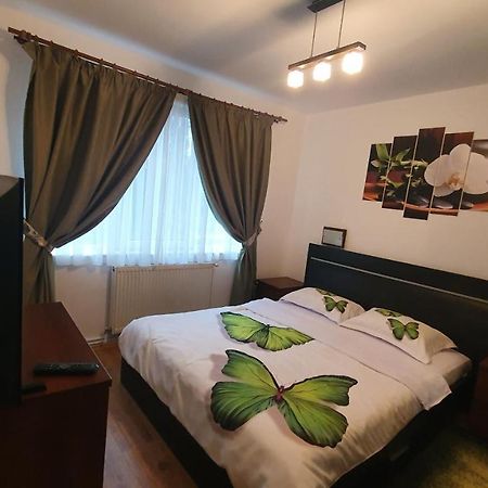 Apartament Cosbuc Baia Mare Buitenkant foto