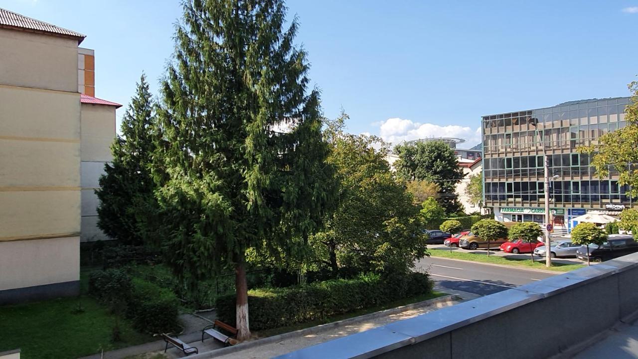 Apartament Cosbuc Baia Mare Buitenkant foto