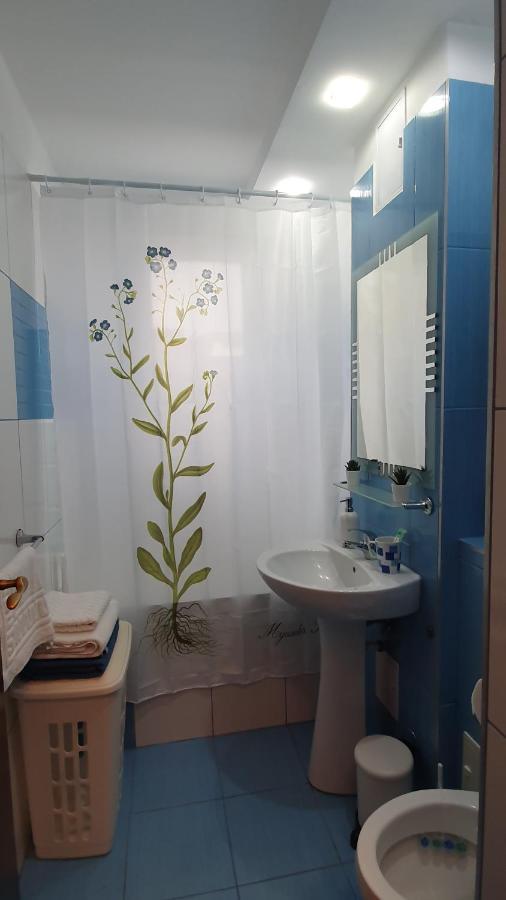Apartament Cosbuc Baia Mare Buitenkant foto