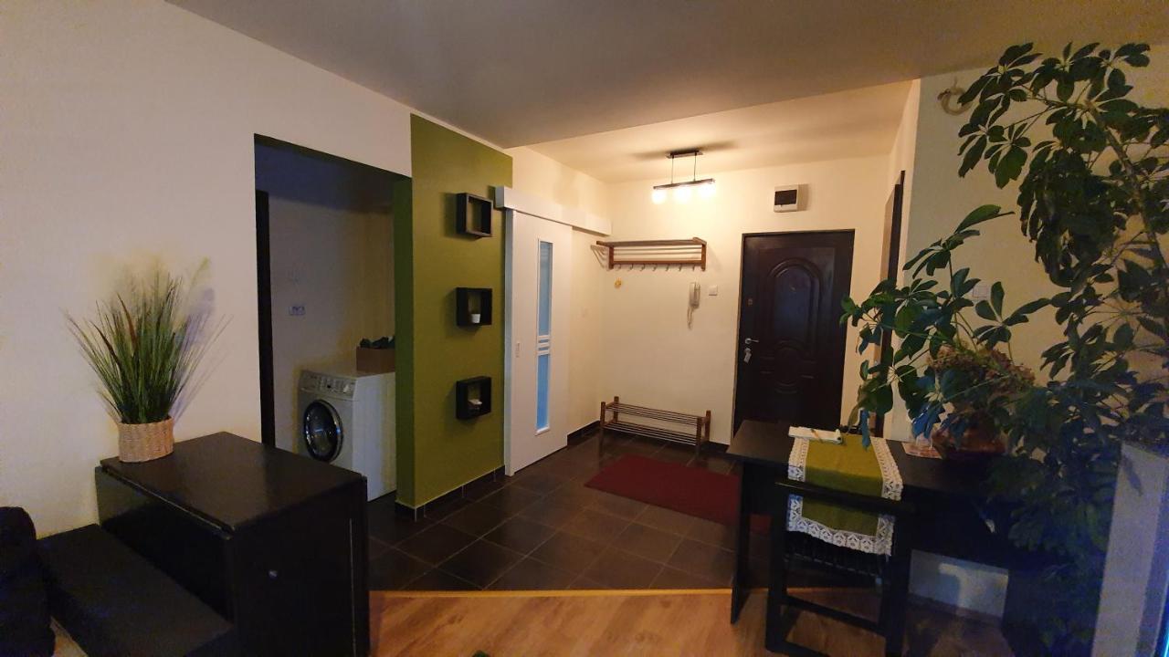 Apartament Cosbuc Baia Mare Buitenkant foto