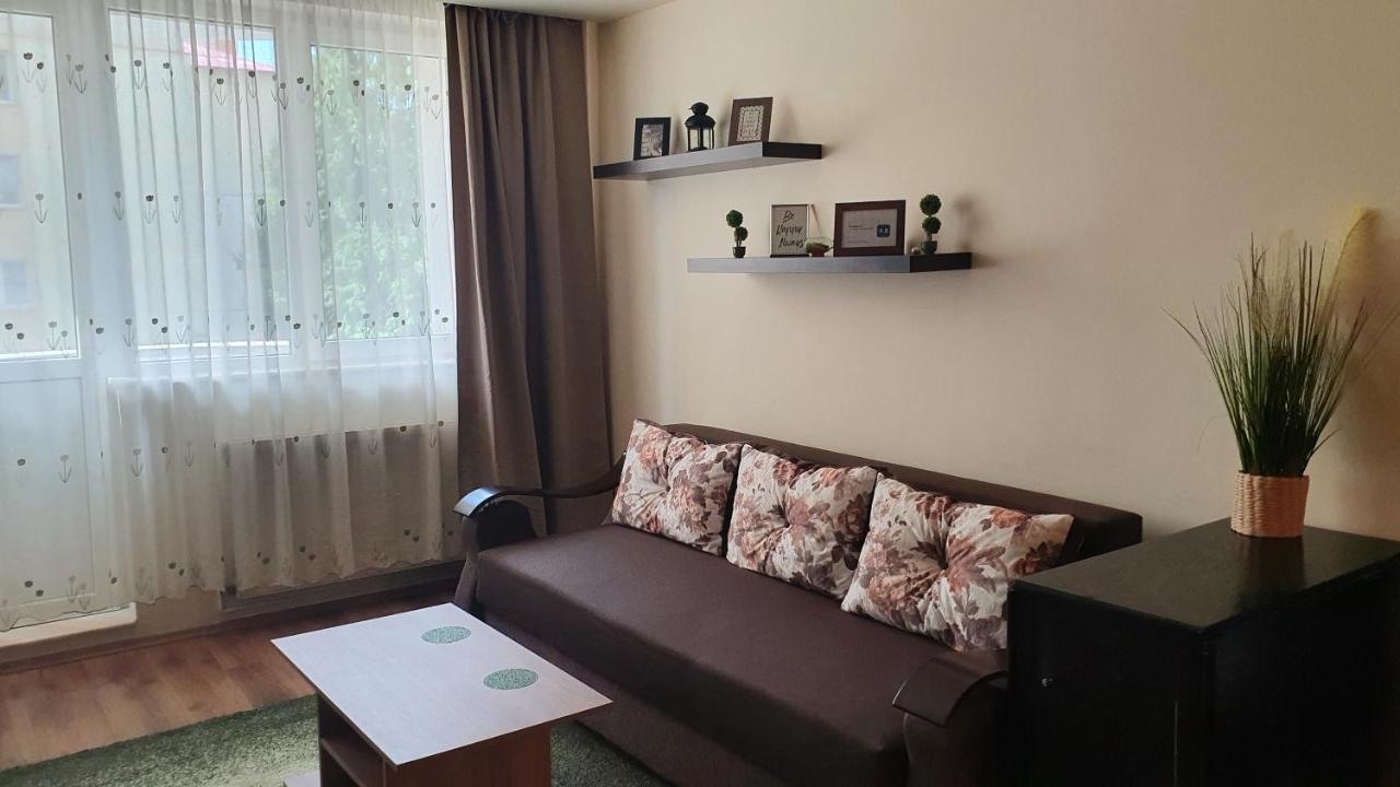 Apartament Cosbuc Baia Mare Buitenkant foto
